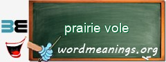 WordMeaning blackboard for prairie vole